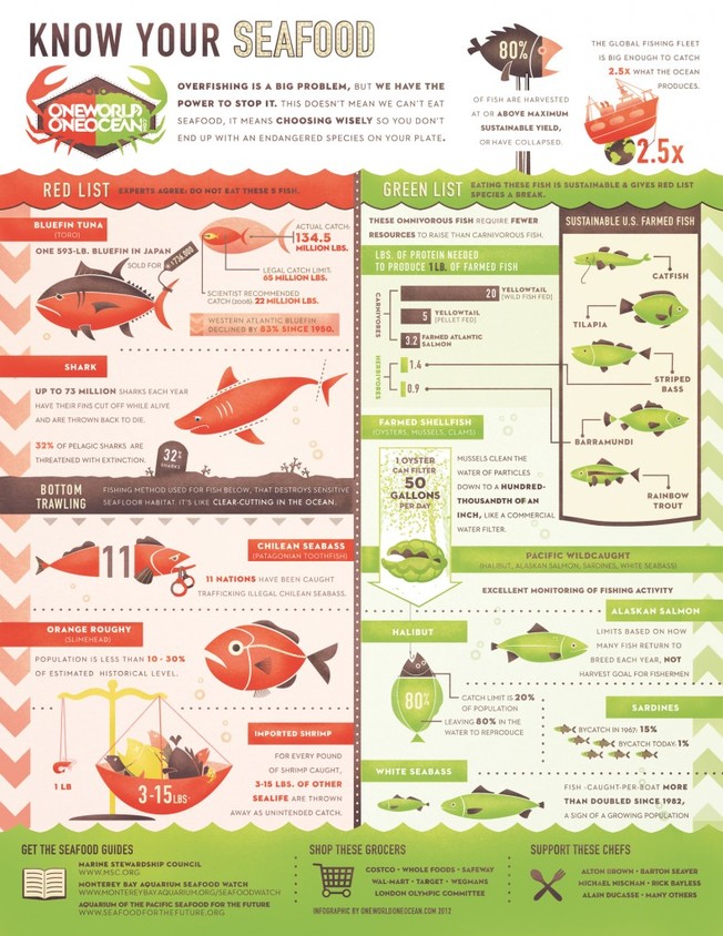 Desktop owoo knowyourseafood 791x1024