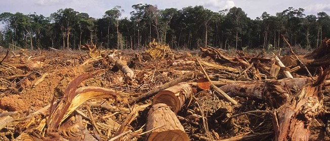 Desktop amazon rainforest deforestation 1024x440