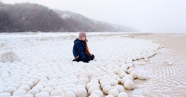 Desktop siberian snowballs slob ice.jpg.600x315 q80 crop smart