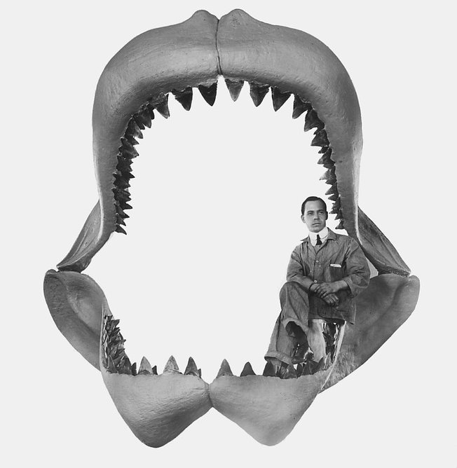 Desktop carcharodon megalodon.jashford dean in 1909