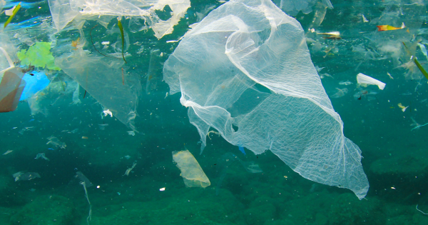 Desktop researchers sound alarm over millions of tonnes of plastic dumped into oceans 600x315