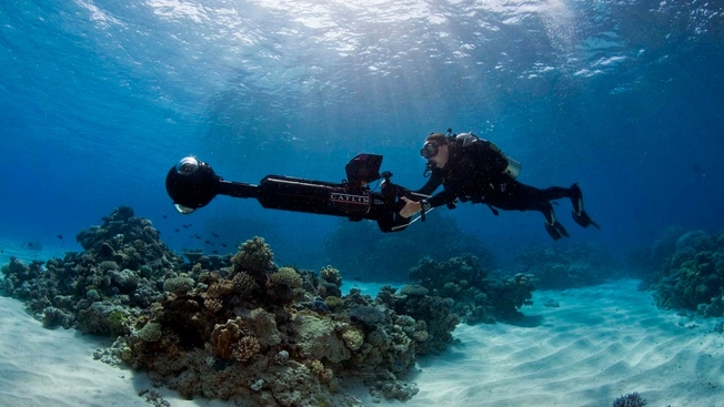 Desktop surveying on the great barrier reef