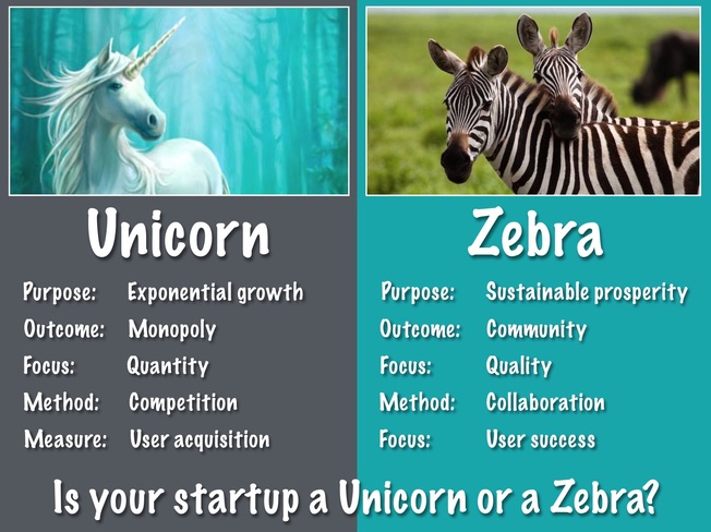 Desktop unicorn zebra