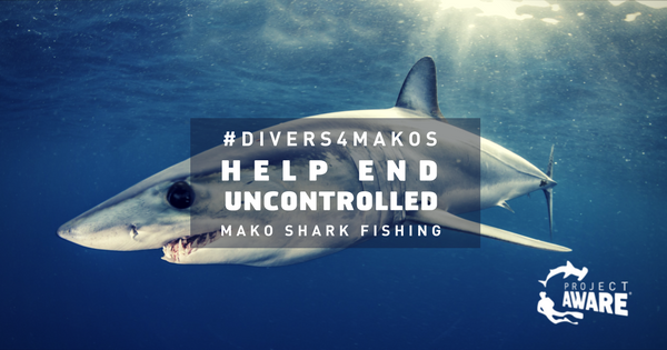 Desktop divers4makos%2bsocial%2bsharing%2btab