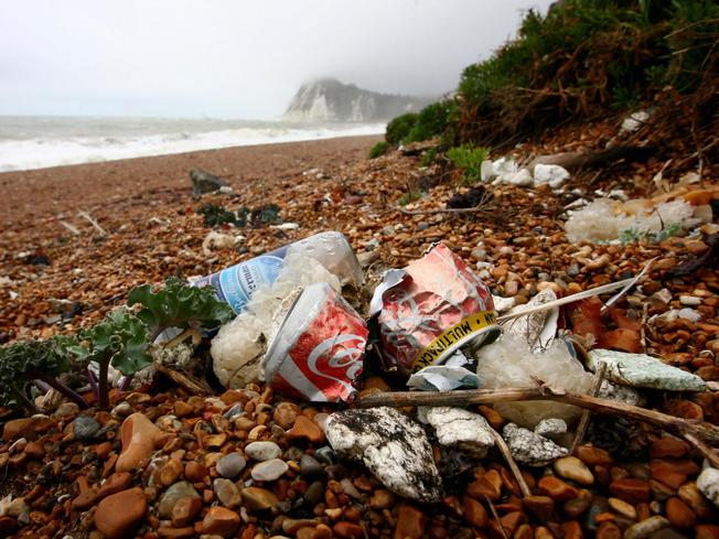 Desktop beach litter