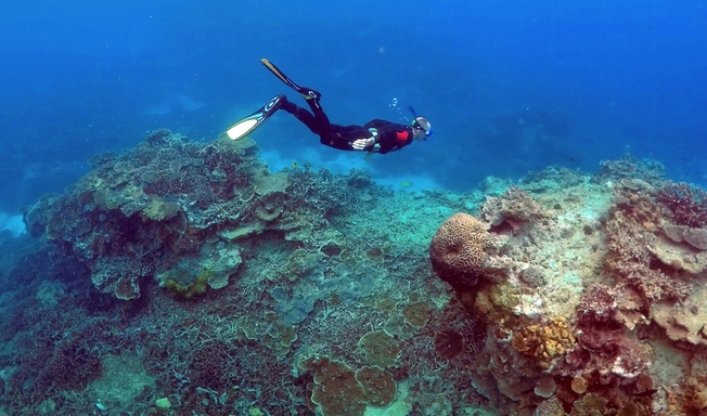 Desktop great barrier reef