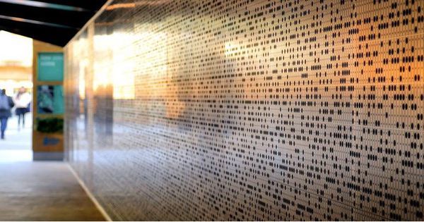 Desktop https 3a 2f 2fblogs images.forbes.com 2fbrucekasanoff 2ffiles 2f2017 2f02 2fintuition intelligence