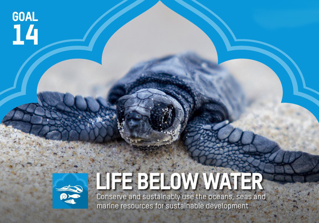 Desktop x14 p20life p20below p20water.jpg.pagespeed.ic. sfr15zvea