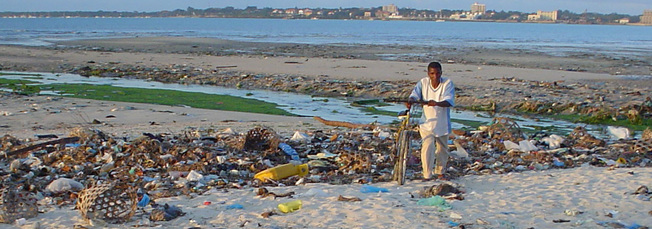 Desktop beach at msasani bay dar es salaam tanzania