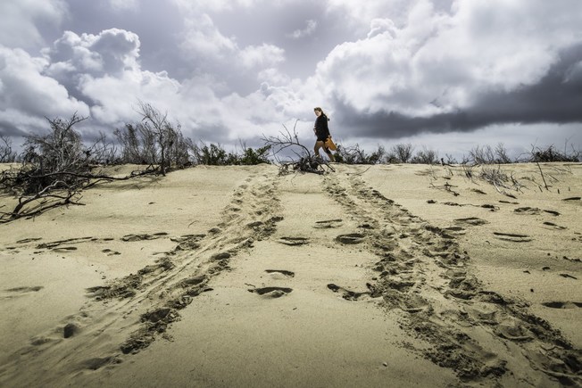 Desktop 180717 ojc sa researcher kate levasseur inspects the fresh hawksbill turtle crawl during a day patrol 66a6798