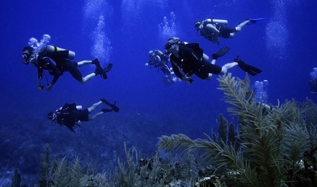 Desktop dive divers swimming 0