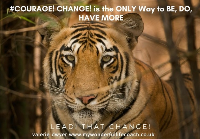 Desktop courage 20change 20tiger